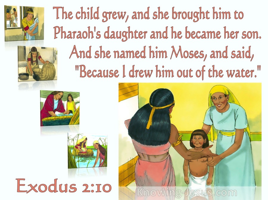 Exodus 2:10 She Named His Moses (orange)